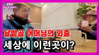 설명절 앞두고 달밭골 두모자의 꿀 떨어지는 겨울외출