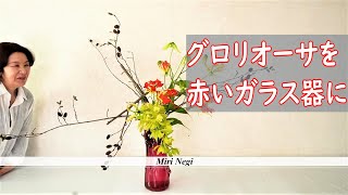 【グロリオーサのいけばな】_赤いガラス花器にいける_Sogetsu Ikebana