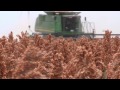 2012 south texas grain sorghum harvest