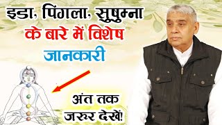 इला, पिंगला, सुषम्ना के बारे में विशेष जानकारी - संत रामपाल जी सत्संग | Lord Kabir