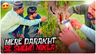 Mere Darakht Se Shehd Nikla!! 🤩 - Khizar Omer