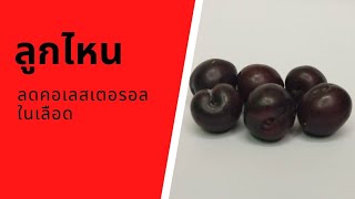 ประโยชน์ของลูกไหน | Plum | กินผักเป็นยา