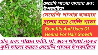 মেহেদি বা মেহেন্দি পাতার ব্যবহার এবং উপকারিতা/Benefits Of Henna For HairGrowth/ভেষজ শক্তি-Episode-47