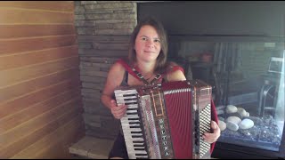 Billy Joel - Piano Man - accordion cover / dragspel