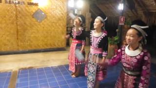 Hmong Hill Tribe Experience