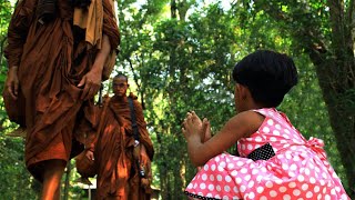 Mindfulness for Beginners (Eng)|162|Ven H Dhamma Kusala Thero|2025-01-25