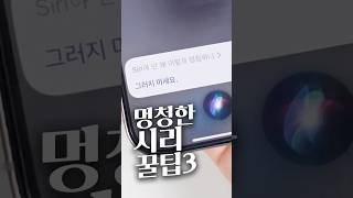 아이폰 시리는 언제쯤 똑똑해질까?🤷🏻