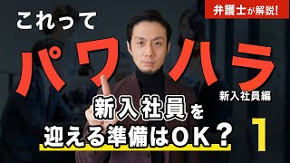 【パワハラ】弁護士が解説する！これってパワハラ？【弁護士飛渡（ひど）】