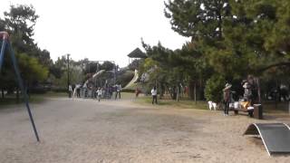 【和歌山県】[和歌山市](公園)片男波公園１