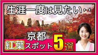 【京都観光〜紅葉名所】地元民定番！紅葉の絶景スポットを徹底的にお伝えします！