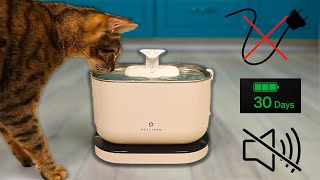 The Best Way To Keep Your Cats Hydrated - Petlibro Dockstream Cordless Pet Fountain