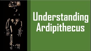 Understanding Ardipithecus