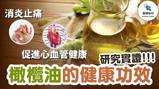 【研究實證】橄欖油的健康功效｜橄欖油的種類