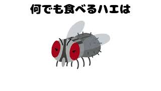 【9割は知らない】本当は教えたくない生物（動物）に関する興味深い雑学【第11弾】