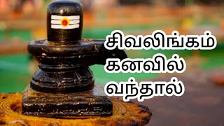 சிவலிங்கம் கனவில் வந்தால் என்ன பலன் | Sivalingam kanavil vanthal enna palan in tamil | Sivalingam