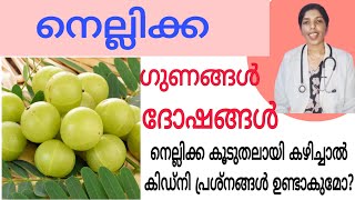 നെല്ലിക്കയുടെ ഗുണങ്ങൾ ദോഷങ്ങൾ#gooseberry#ayurvedadoctor#doctor#malayalam#viral#video