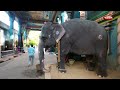 manakula vinayagar history of temple மணக்குள விநாயகர் கோவில் புதுச்சேரி puducherry temple