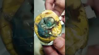 Ganito pala hitsura ng balut #trending #shortvideo #shorts #duckegg