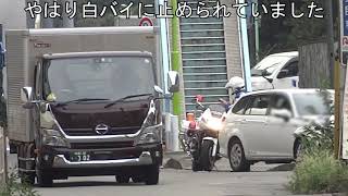 白バイが見張っている交差点なのに信号無視で左折した違反車が捕まった瞬間