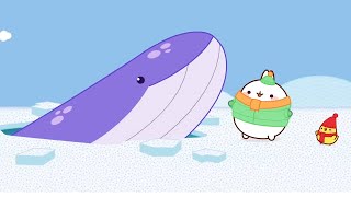 Molang and Piu Piu 🐋 The Whale 🐋 Cartoon for kids | Molang Funny Cartoons