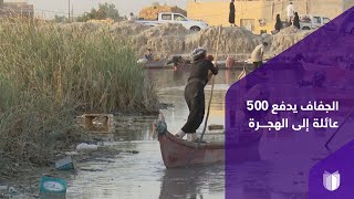 بعد تراجع تربية الجاموس وصيد الأسماك.. الجفاف يدفع 500 عائلة إلى الهجرة من هور الحَمّار الغربي