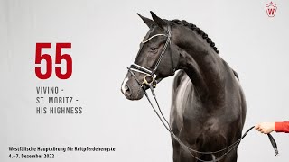 Westfälische Hauptkörung 2022 Reitpferde: Kat.Nr. 55  Vivino  -  St. Moritz  -  His Highness