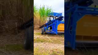 🌈3 லட்சம் போதும் இந்த கரும்பு அறுவடை இயந்திரம் வாங்க🌵 #shorts #sugarcane #harvestor #troll #vadakan