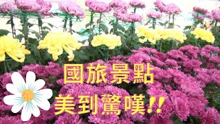 士林 官邸|台北 景點|台北士林官邸菊展結合三麗鷗賣萌童趣