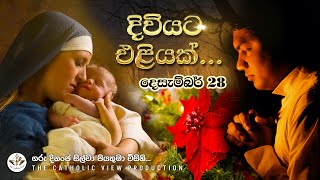 Sinhala Reflection | Daily Reflection 28th December | Rev. Fr. Dinanja Silva | The Catholic View