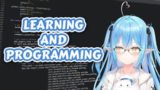 Lamy talks about learning and programming