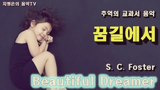 Beautiful Dreamer Stephen Foster 꿈길에서  스티븐 포스터