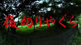 360VR 鎌倉最恐心霊スポット「腹きりやぐら」 The most scary place In Kamakura \