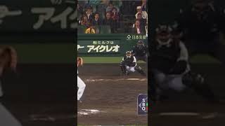 和田選手の超低弾道ホームラン#野球#ばずれ