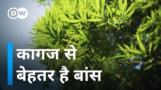 बांस से क्या क्या बन रहा है देखिए [Why bamboo is better than paper]