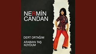 Arabaya Taş Koydum