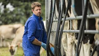 Farmer's mobile milking shed breaks the dairy model ☑ ❤❤❤