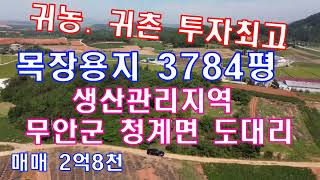 #전남토지매물번호(1728)무안군 청계면 도대리 목장용지 3784평 생산관리지역 매매2억8천 귀농 귀촌 투자최고 호남고속철도 2단계 광주송정역~목포 구간 2025년 개통 예정