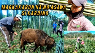 Ep.540- Magkakaroon na ng asawa si Karding | simula ng paggawa ng kulungan ng kambing | bukids