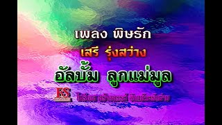 พิษรัก - เสรี รุ่งสว่าง ชุด ลูกแม่มูล【Official MV】