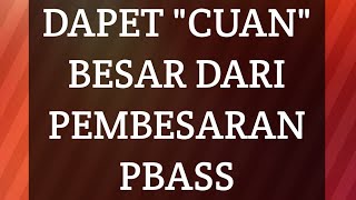 CARA MERAWAT BABY PBASS AGAR CEPAT BESAR DAN TIDAK MUDAH MATI