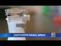 'Nanobody' Nasal Spray Could Stop Spread Of COVID-19 Virus