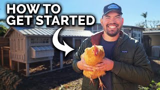 Raising Chickens: Everything You Need To Know!