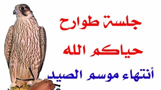 انتهاء موسم صيد الصقور|جلسة طواريح|مواضيع هامة للطواريح