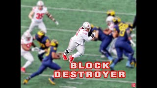 Tyleik Williams DT-Ohio State | Block Destroyer | Michigan '23 | 2025 NFL Draft | All-American DL