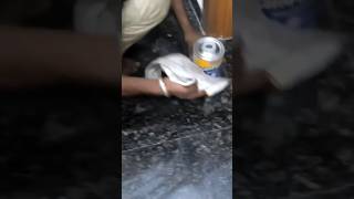 granite polishing