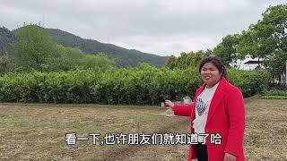 凭祥越南相隔一条河，交界处的农田发生反常怪事，看看怎么回事