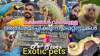 ഇങ്ങനെ വിചിത്രമായൊരു pet store നിങ്ങൾ കണ്ടിട്ടുണ്ടോ, ഈ വീഡിയോ തീർച്ചയായും നിങ്ങൾക്ക് ഇഷ്ടപ്പെടും.👍👍👍