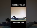 【背骨調整エクササイズ】　ヨーガ・ピラティス：ボディワーク shorts