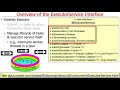 The ExecutorService Interface: Introduction