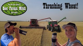 Family Farming: Wheat Harvest in North Dakota